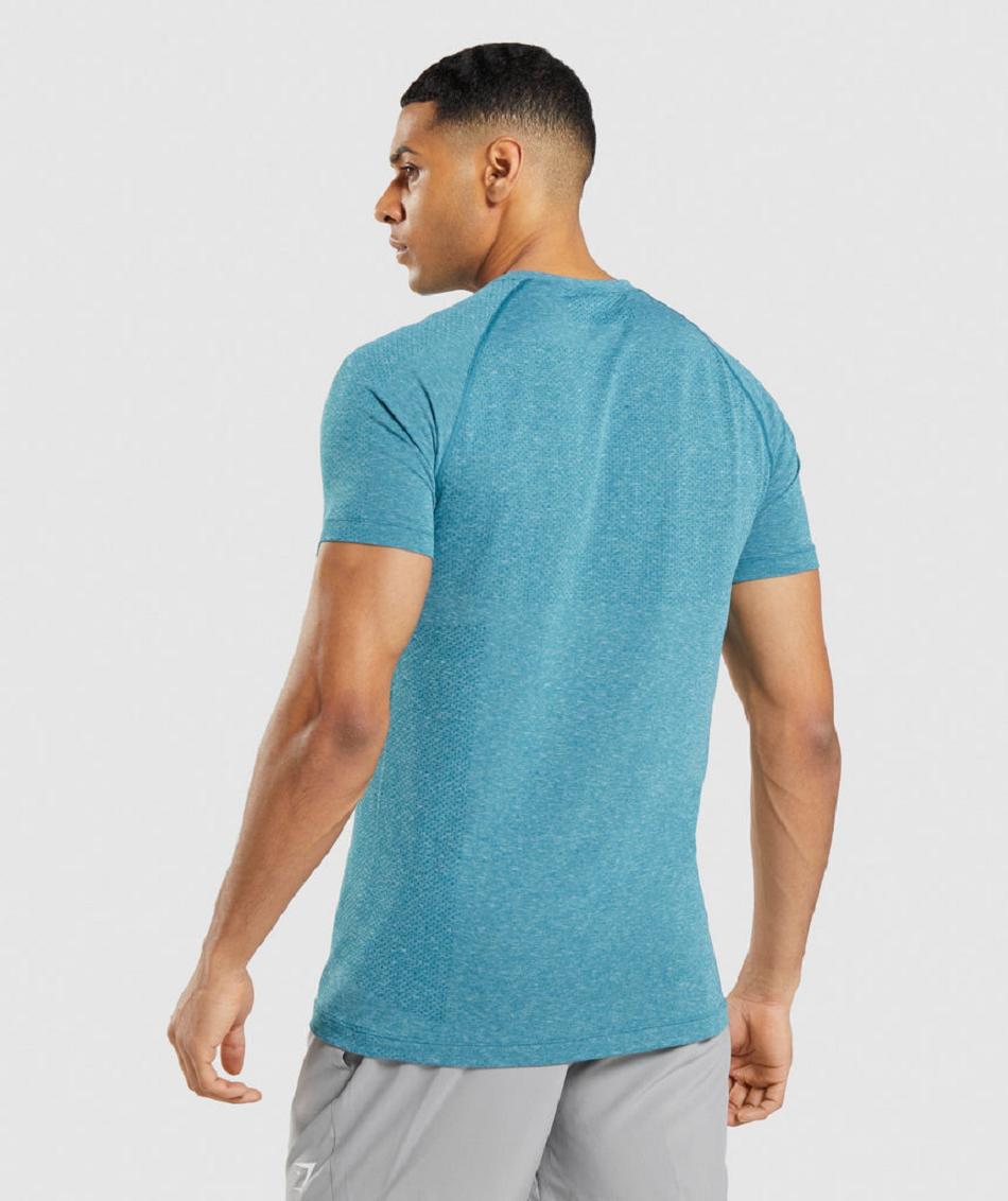 Gymshark Vital Light Seamless Muške T Shirts Tirkizne | HR 2461YXF